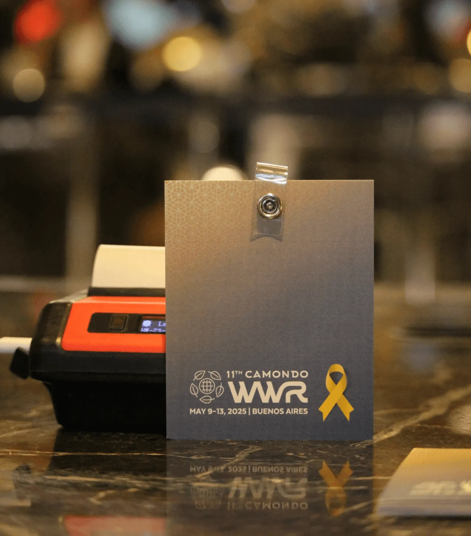 Camondo WWR · Access by SOMOS DER (2)